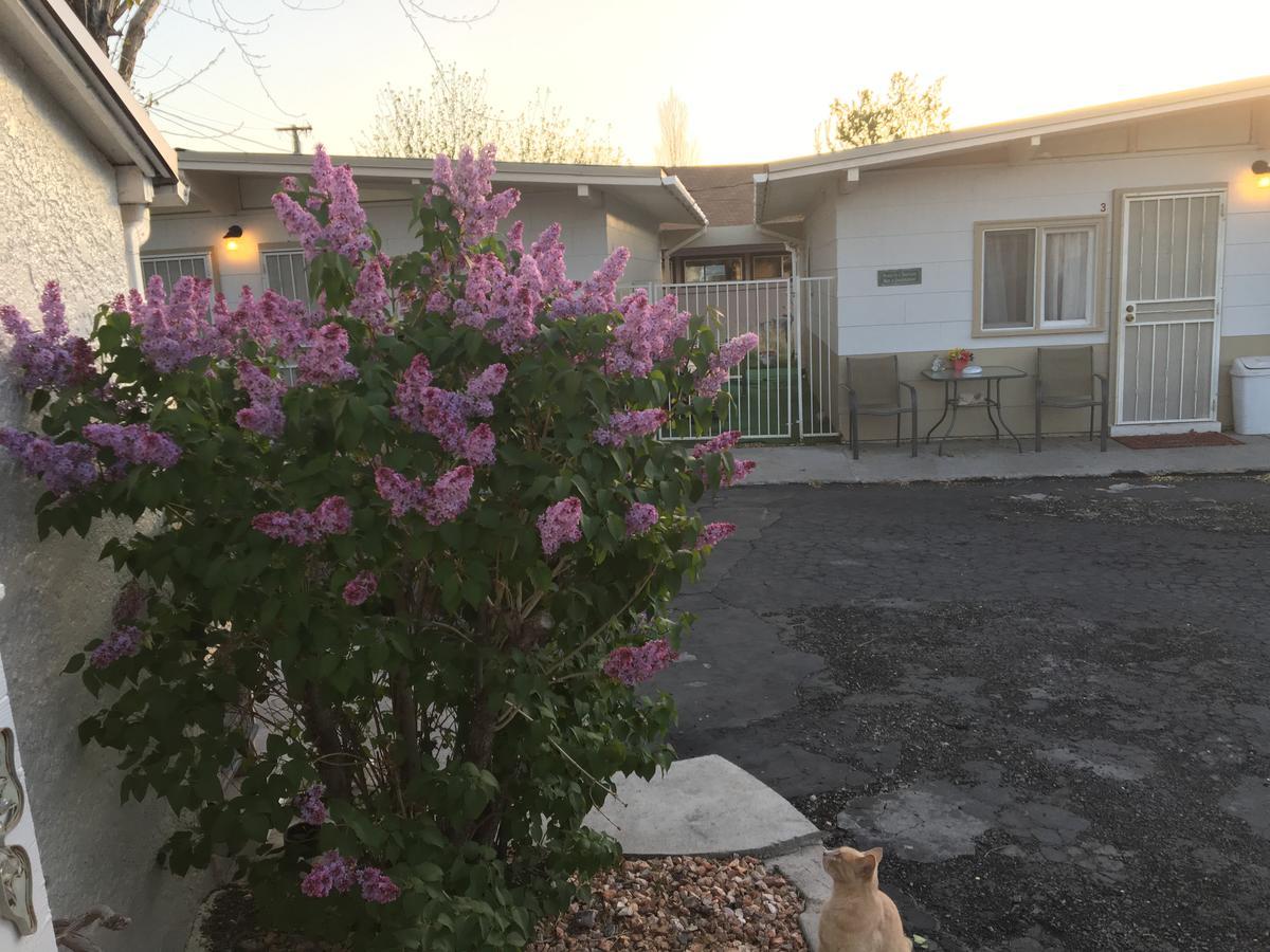 Midway Motel Caliente Esterno foto